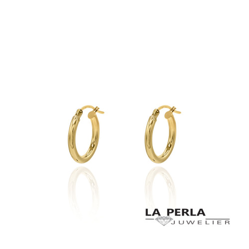 Huiscollectie oorringen 70131