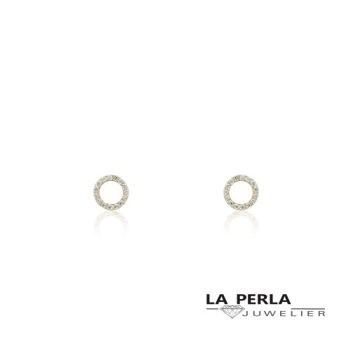 Huiscollectie oorringen 60763