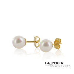 Huiscollectie oorringen 107.8