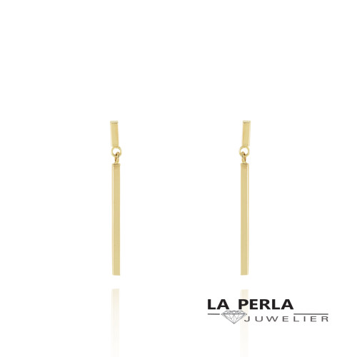 Huiscollectie oorringen 25252