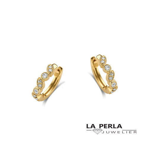 Huiscollectie oorringen 56770