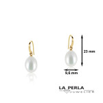 Huiscollectie oorringen 59557 - oorringen - 475.00€ bij www.juwelierlaperla.be